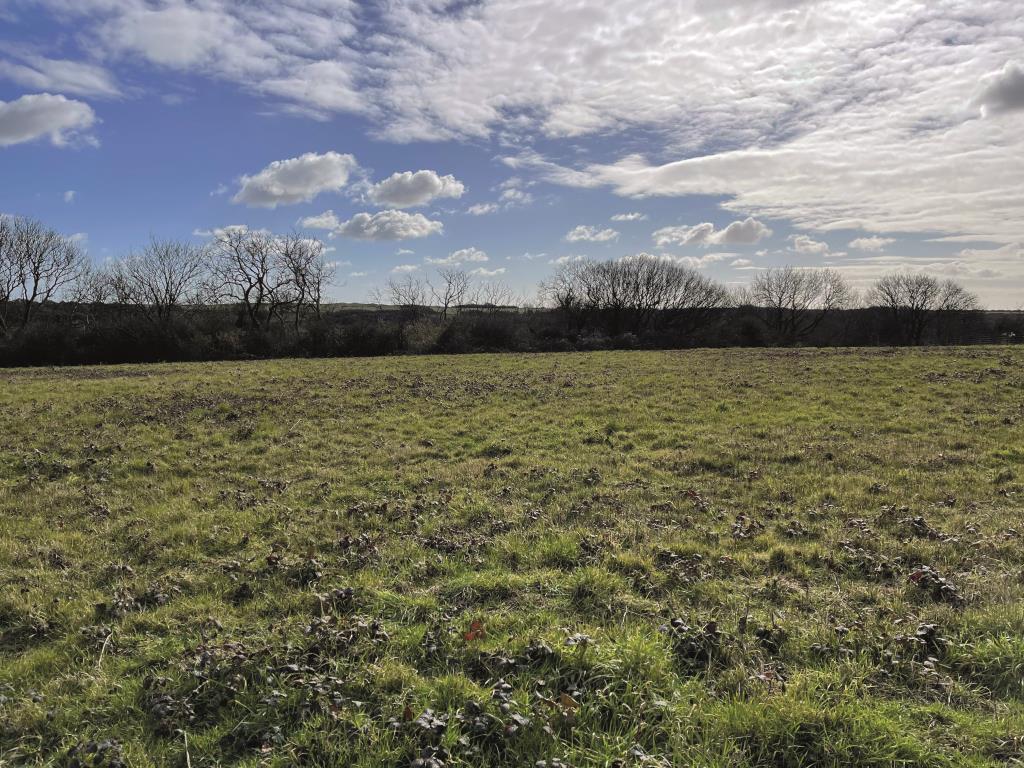 Lot: 120 - APPROXIMATELY 2.4 ACRE PADDOCK - General view of the land